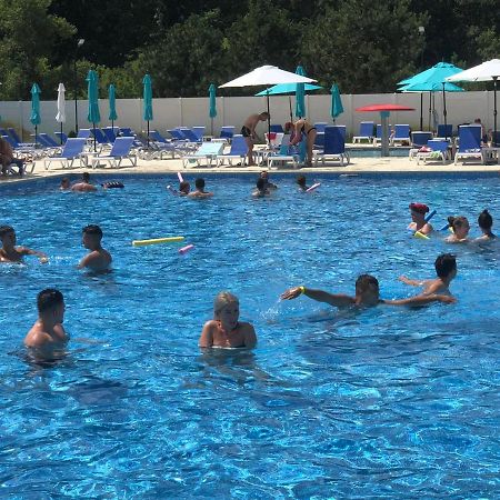 Hotel Andy Km 36 Βουκουρέστι Εξωτερικό φωτογραφία